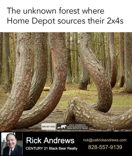 Funniest Memes, Unknown forest where home depot sources their 2X4s
