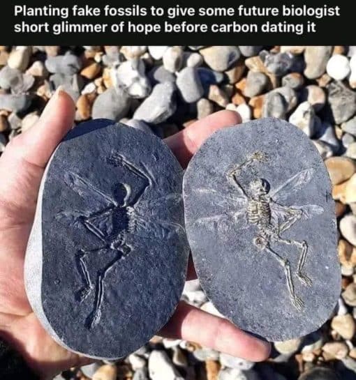  Funny   Planting fake fossils to give some future biologist short glimmer of hope before carbon dating it