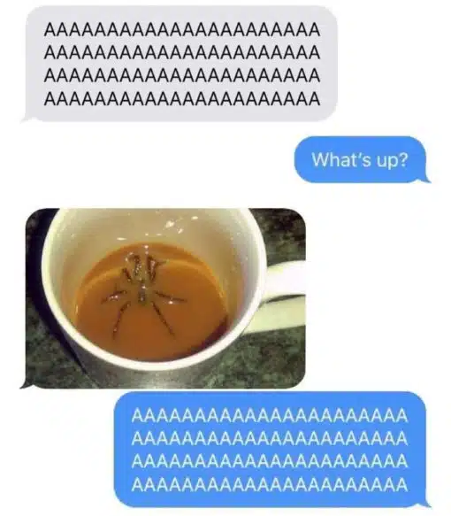 Gross, Scary, Big Spider in Coffee