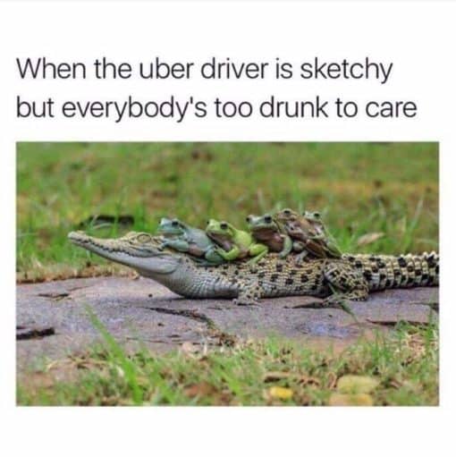 Funny Memes, When the uber driver is sketchy but everybody's too drunk to care