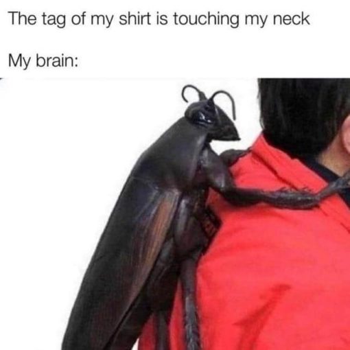Funny Memes, The tag of my shirt is touching my neck - my brain