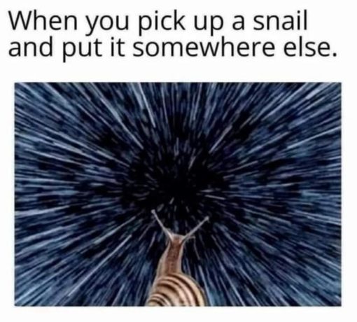 Funny, When you pick up a snail and put it somewhere else