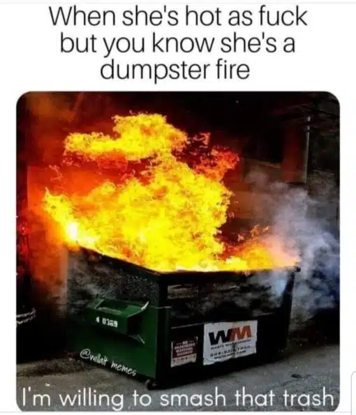 Funny Memes, Relationship Memes, I'm willing to smash that trash - When she's hot as fuck but you know she's a dumpster fire