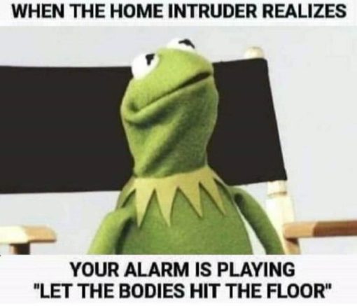 Funny, Kermit Memes, When the home intruder realizes your alarm is playing let the bodies hit the floor