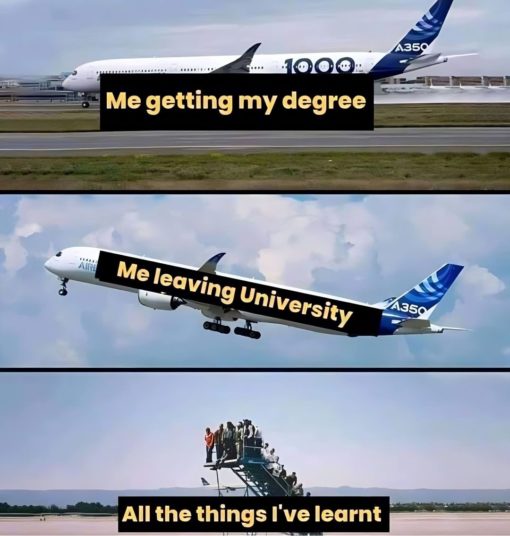 Funniest Memes, Me getting my degree - Me leaving University - All the things I learnt
