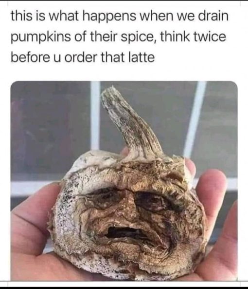 Family Memes, Halloween Memes, This is what happens when we drain pumpkins of their pumpkin spice, think twice before you order that latte