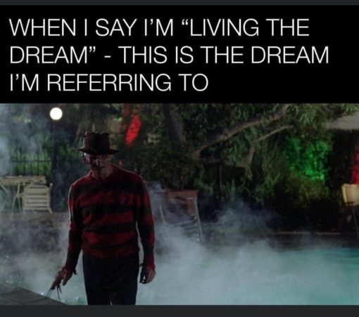 Family Memes, Freddy Krueger Memes, Movie Memes, Nightmare on Elm Street Memes, When I say I'm living the dream this is what I'm referring to