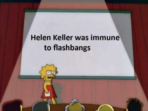 Dark Humor, Funniest Memes, Simpsons Memes, Helen Keller was immune to flashbangs