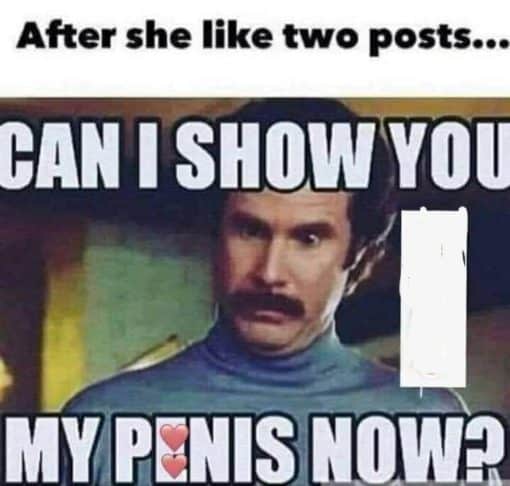 Funniest Memes, Penis Memes, Relationship Memes, Can I show you my penis now?