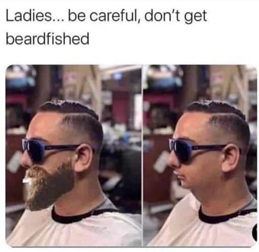 Funniest Memes, Relationship Memes, getting beard fished