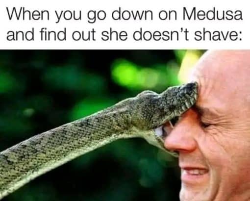 Funniest Memes, Greek Mythology Memes, Sex Memes, When you go down on Medusa and find out she doesn't shave.