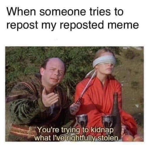 Funniest Memes, Meme Lord Memes, Princess Bride Memes, When someone tries to repost my reposted meme - You're trying to kidnap what I have rightfully stolen.