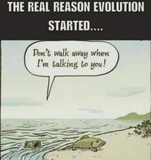 Evolution Memes, Funniest Memes, Marriage Memes, Relationship Memes, Science Memes, The real reason evolution started