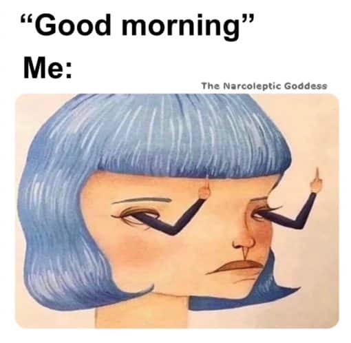 Funniest Memes, I Hate Mornings Memes, Flipping you off with my eyes - When someone says good morning.