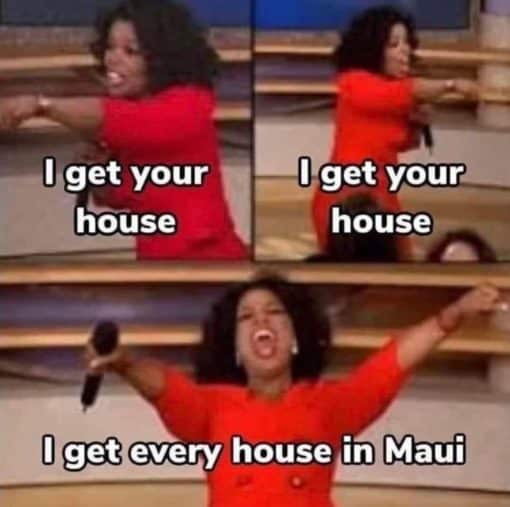 Conspiracy Memes, Funniest Memes, Oprah Winfrey Memes, Oprah Winfrey buying all the land in Maui