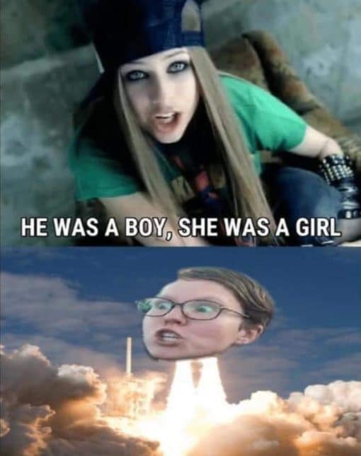 Angry Wokies, Avril Lavigne Memes, Funniest Memes, Political Memes, He was a boy she was a girl
