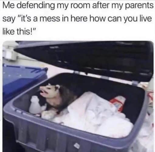 Family Memes, Funniest Memes, Me defending my room after my parents say "it's a mess in here how can you live like this!”