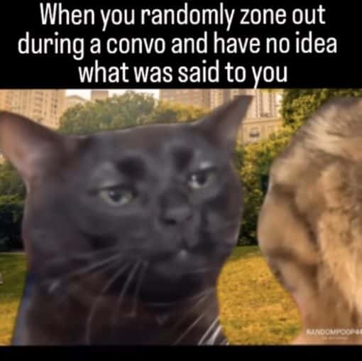 Funniest Memes, Introvert Memes, Social Memes, When you randomly zone out in a conversation and have no idea what was said to you