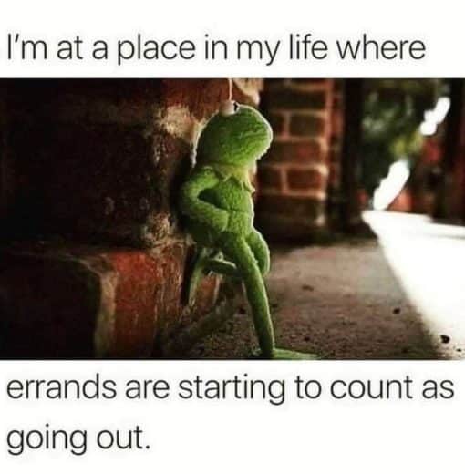 Funniest Memes, Introvert Memes, Kermit Memes, I'm at a place in my life where errands are starting to count as going out.
