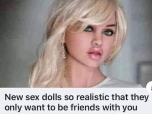 Dating Memes, Funniest Memes, Relationship Memes, Sex Memes, Sex doll so realistic it only wants to be friends