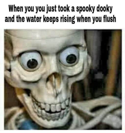 Funniest Memes, Halloween Memes, Poop Memes, When you just took a spooky dooky and the water keeps rising when you flush