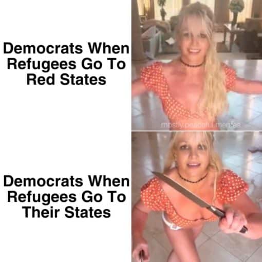 Anti Democrat Memes, Britney Spears Memes, Celebrity Memes, Funniest Memes, Political Memes, Democrats when refugees go to red states - when they go to blue states
