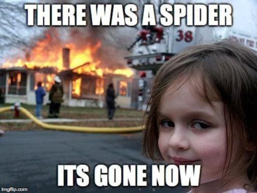 Disaster Girl, Funniest Memes, Burned down the house to kill the spider