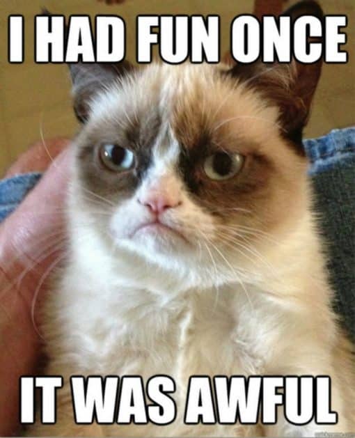 Funniest Memes, Grumpy Cat, I had fun once - it was awful
