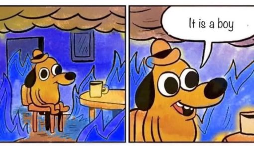 Funniest Memes, This Is Fine Dog, House is buring down in blue as a gender reveal