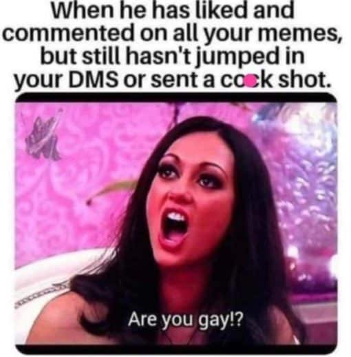 Funniest Memes, Relationship Memes, Are you GAY? - no cockshot in your DMs