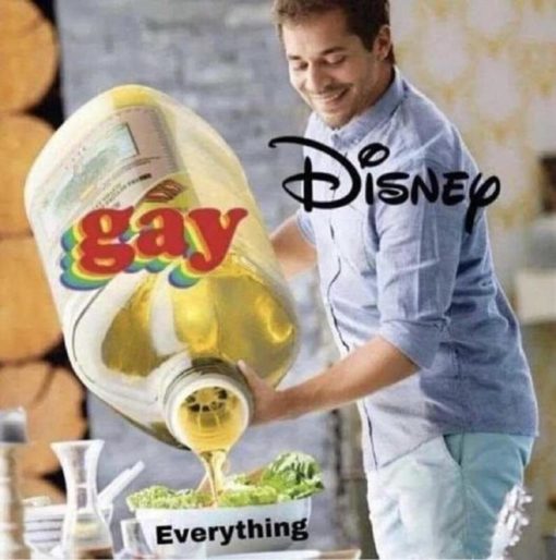 Disney Memes, Gay Memes, Political Memes, Disney dumping LGBTQ propaganda into everthing they do now adays