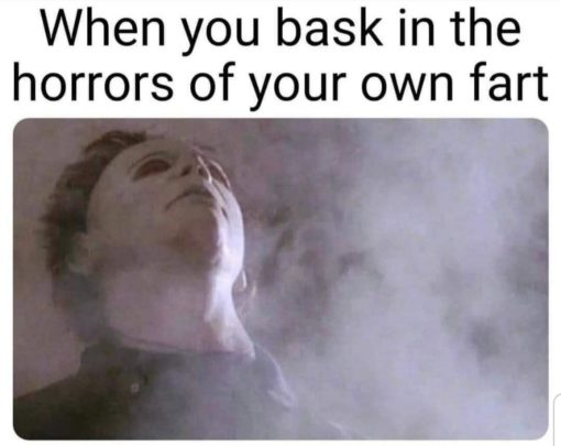 Funniest Memes, Gross, Halloween Memes, Michael Myers, When you bask in the horrors of your own fart - Michael Myers