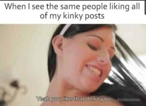 Funniest Memes, Porn Memes, Sex Memes, Yeah you like that don't you
