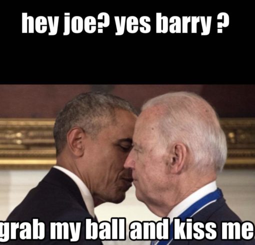 Barack Obama Memes, Joe Biden, Political Memes, Grab my balls and kiss me