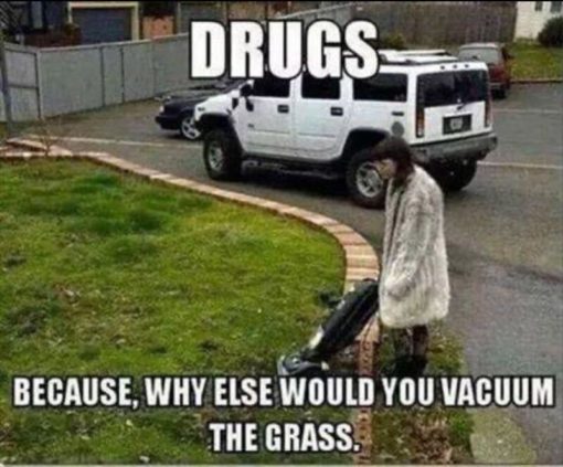 Drugs Memes, Funniest Memes, Vacuuming the grass - drugs