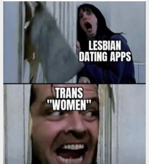 Funniest Memes, Gay Memes, Relationship Memes, Trans women ruining lesbian dating apps