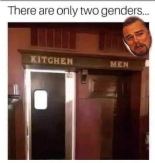 Funniest Memes, Leonardo Dicaprio, Sexist Memes, Women's room is the kitchen