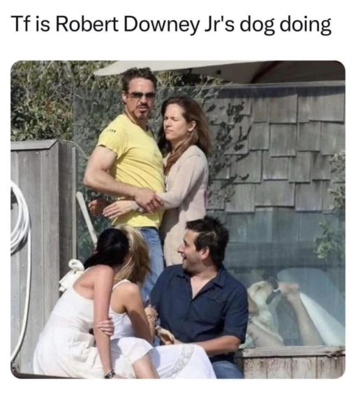 Celebrity Memes, Funniest Memes, Pet Memes, Robert Downey Jr, WTF is Robert Downey Jr dog doing