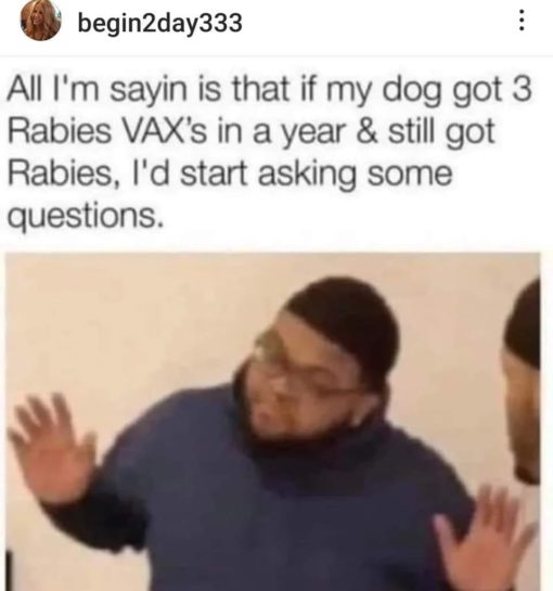 Funniest Memes, Political Memes, Vaxine Memes, All I'm sayin is that if my dog got 3 Rabies VAX's in a year & still got Rabies. I'd start asking some questions.