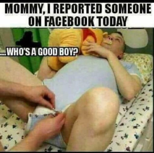 Funniest Memes MOMMY I REPORTED SOMEONE ON FACEBOOK TODAY WHOS A GOOD BOY