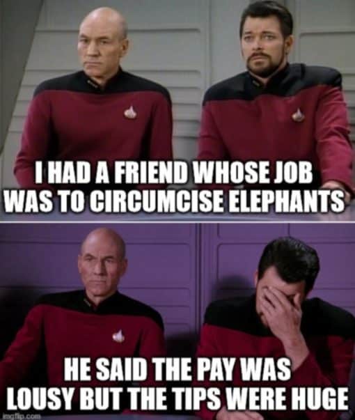 Dad Joke Memes, Funniest Memes, Star Trek Memes I HAD A FRIEND WHOSE JOB WAS TO CIRCUMCISE ELEPHANTSHE SAID THE