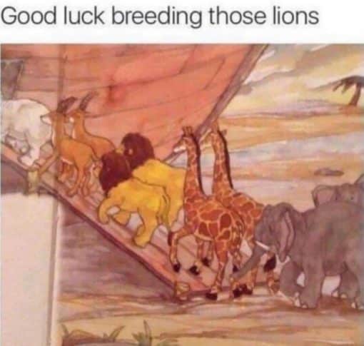 Funniest Memes, Religious Memes Good luck breeding those lions
