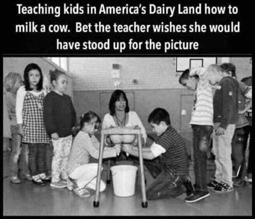 Funniest Memes, School Memes Teaching kids in America s Dairy Land how to milk a cow