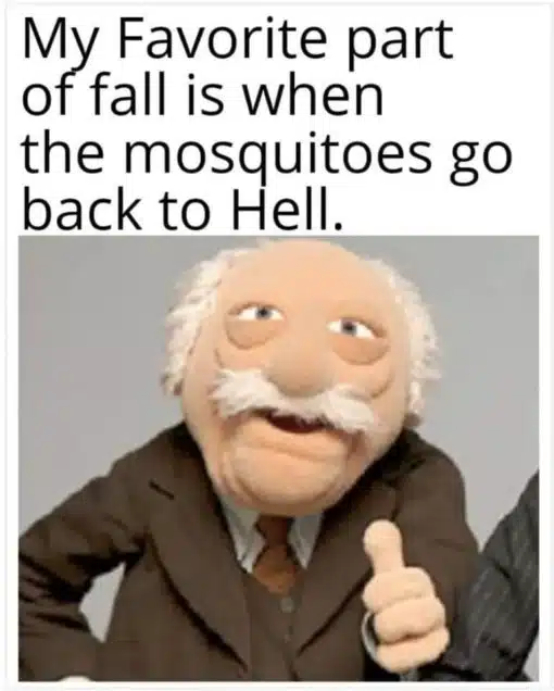 Funniest Memes, Religious Memes My favorite part of fall is when the mosquitoes go back to
