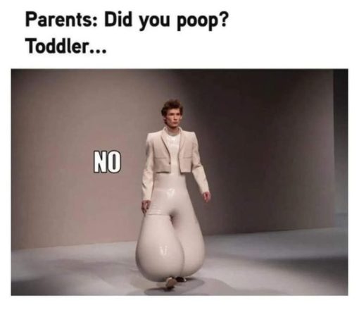Funniest Memes, Kid Memes, Parent Memes, Poop Memes Parents  Did you poop Toddler   NO