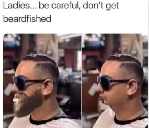 Funniest Memes, Relationship Memes Ladies    be careful  dont get beardfished