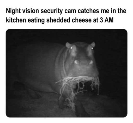 Eating Disorder Memes, Fat Joke Memes, Food Memes, Funniest Memes Night vision security cam catches me in the kitchen eating shedded cheese