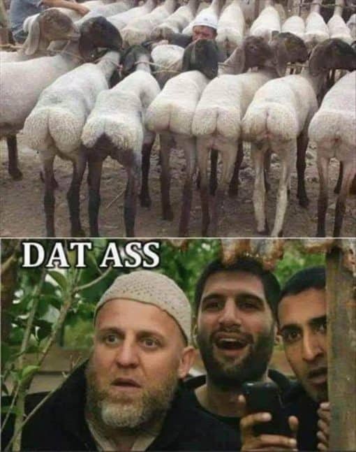 Funniest Memes, Muslim Memes, Offensive Memes DAT ASS