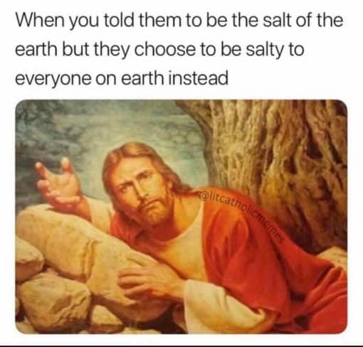 Christian Memes, Funniest Memes, Religious Memes When you told them to be the salt of the earth but