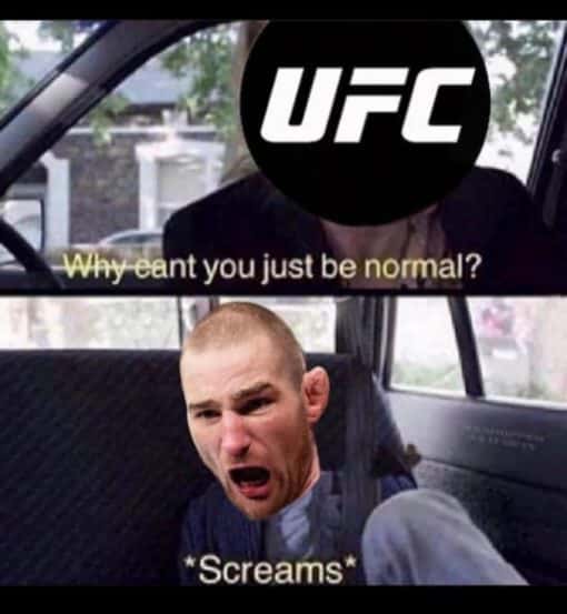 Funniest Memes, MMA Memes, UFC Memes Why can t you just be normal 